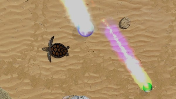 Turtle Quest screenshot 5