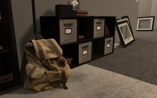 Becoming Homeless: A Human Experience screenshot 5