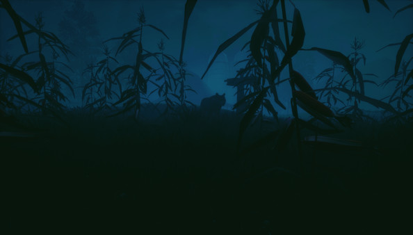 Outside screenshot 5