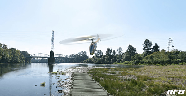 RealFlight 8 screenshot 6