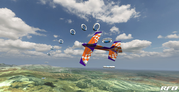 RealFlight 8 screenshot 4