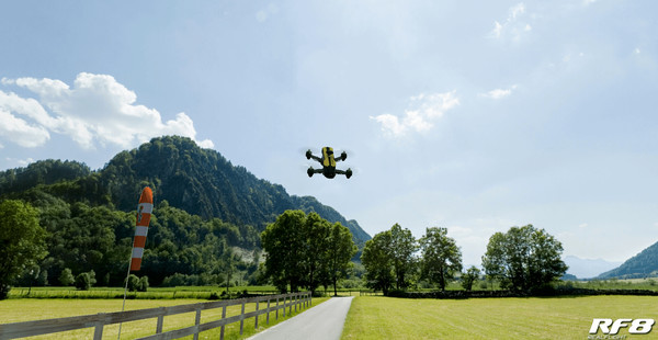 RealFlight 8 screenshot 5
