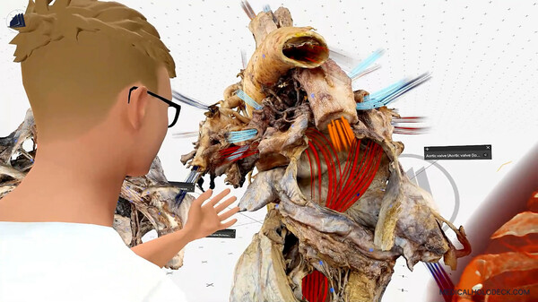 MEDICALHOLODECK. The medical DICOM Viewer and Human Anatomy Lab in Virtual Reality. screenshot 2