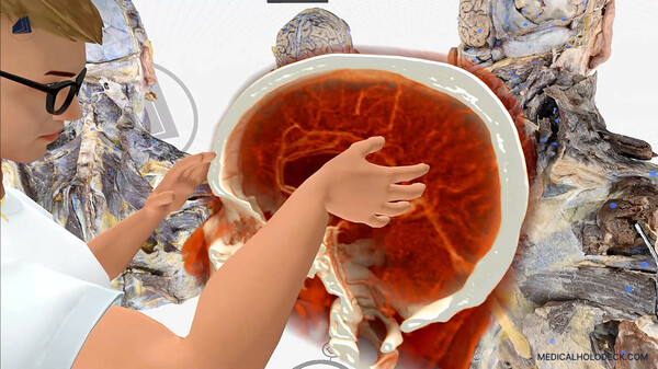 MEDICALHOLODECK. The medical DICOM Viewer and Human Anatomy Lab in Virtual Reality. screenshot 1