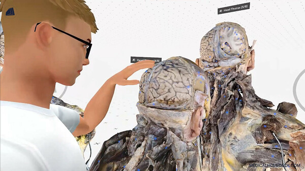 MEDICALHOLODECK. The medical DICOM Viewer and Human Anatomy Lab in Virtual Reality. screenshot 3