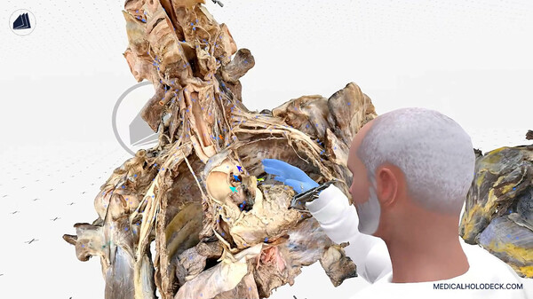 MEDICALHOLODECK. The medical DICOM Viewer and Human Anatomy Lab in Virtual Reality. screenshot 6