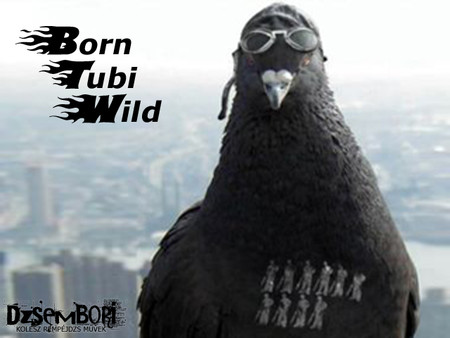 Born Tubi Wild screenshot 4