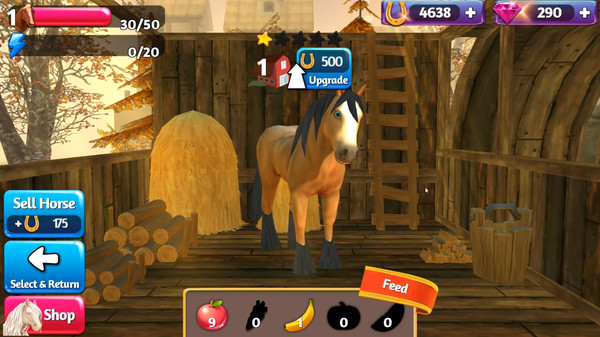 Horse Paradise - My Dream Ranch screenshot 3