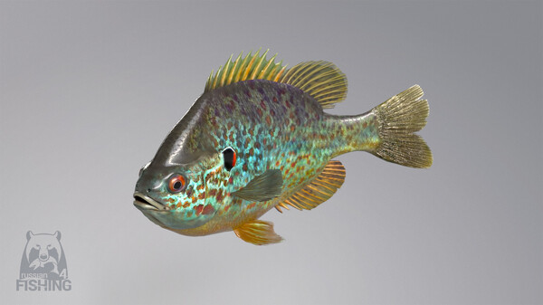 Russian Fishing 4 screenshot 12