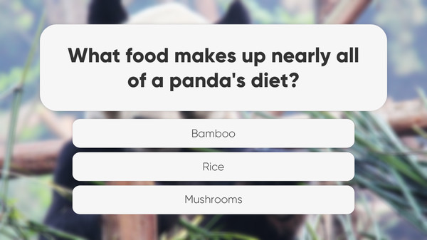 Amazing Trivia screenshot 6