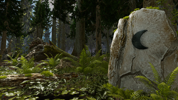 Shinrin-yoku: Forest Meditation and Relaxation screenshot 4