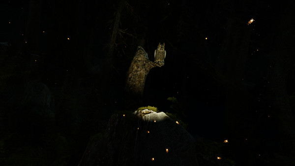 Shinrin-yoku: Forest Meditation and Relaxation screenshot 2