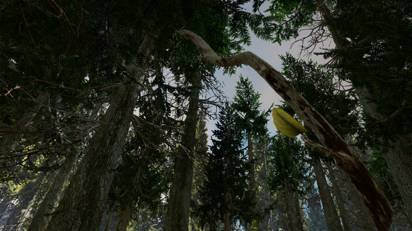 Shinrin-yoku: Forest Meditation and Relaxation screenshot 5