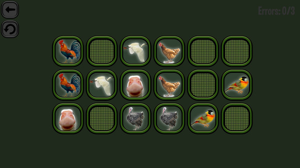 Animals Memory: Birds screenshot 6