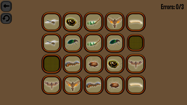 Animals Memory: Insect screenshot 2