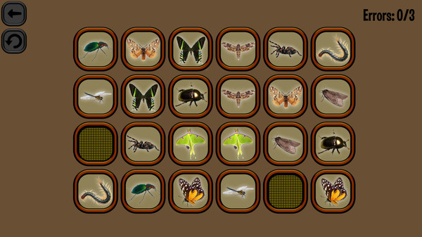 Animals Memory: Insect screenshot 3