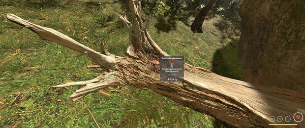 BugOut screenshot 4