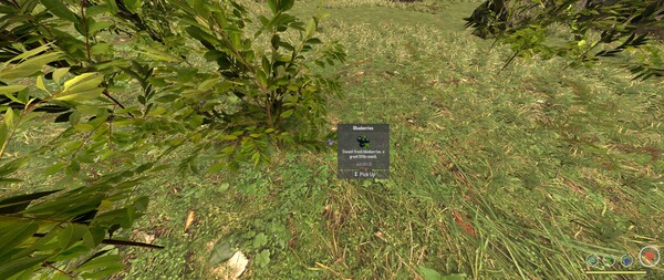 BugOut screenshot 5