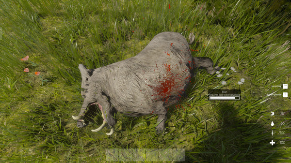 Journey Of Life screenshot 9