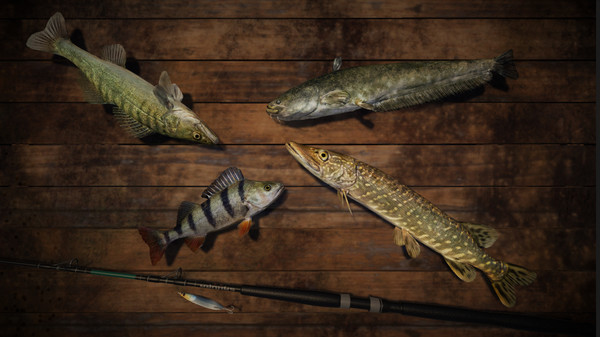 Professional Fishing screenshot 5