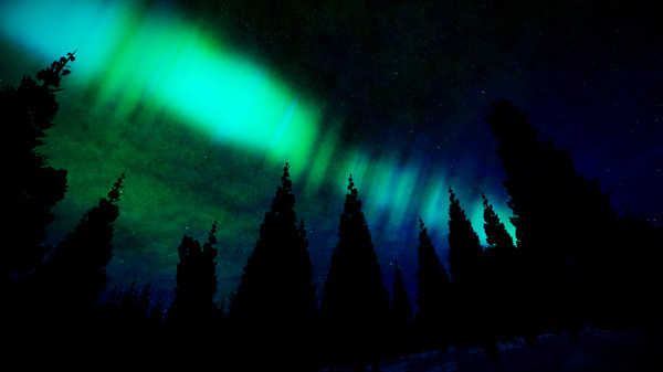 ALASKA screenshot 3