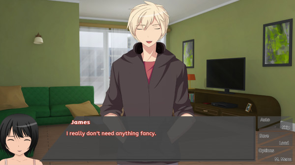 Frequent Flyer: A Long Distance Love Story screenshot 1