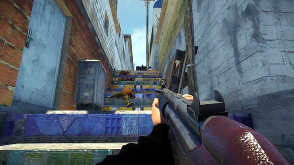 Brazilian Root screenshot 5