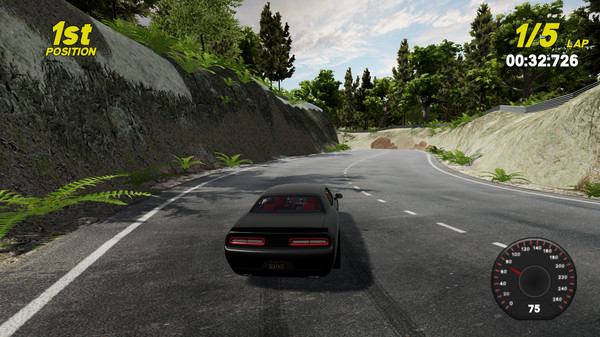 It's A Racing Game screenshot 4