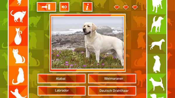 JQ: dogs & cats screenshot 3