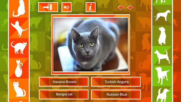 JQ: dogs & cats screenshot 5