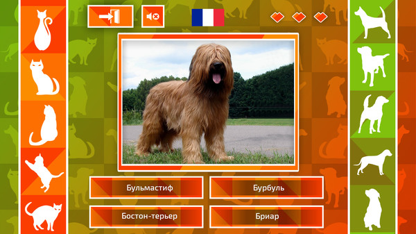 JQ: dogs & cats screenshot 4