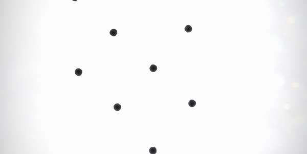 Black Circle screenshot 2