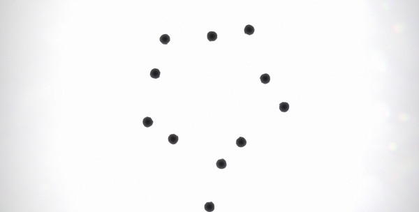 Black Circle screenshot 0