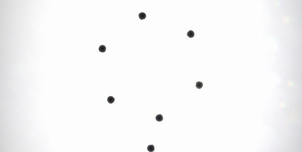 Black Circle screenshot 4