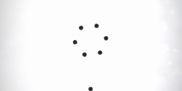 Black Circle screenshot 3