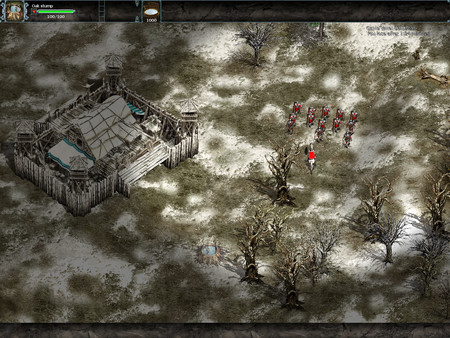 Celtic Kings: Rage of War screenshot 12