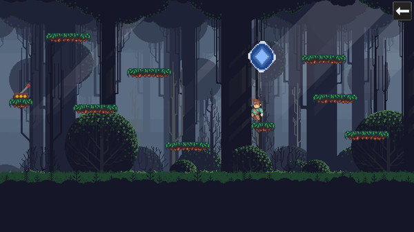 Platform Challenge screenshot 2