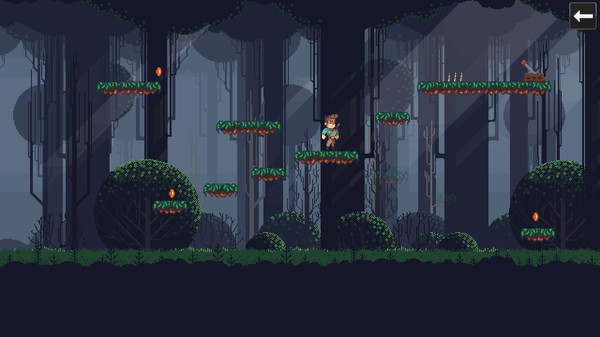 Platform Challenge screenshot 3