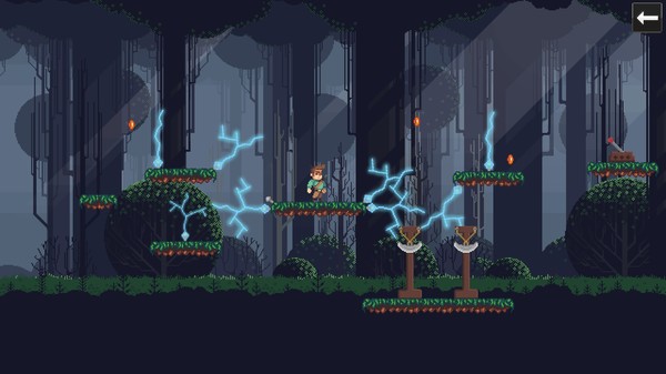 Platform Challenge screenshot 1
