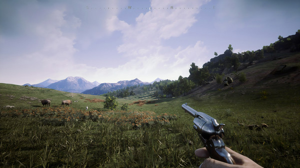 Outlaws of the Old West screenshot 9