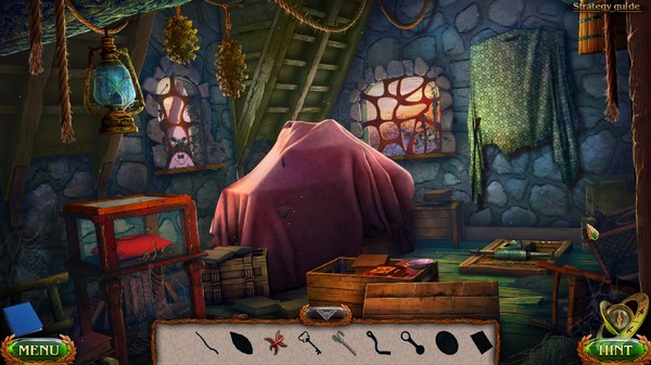 Lost Lands: Ice Spell Collector's Edition screenshot 9