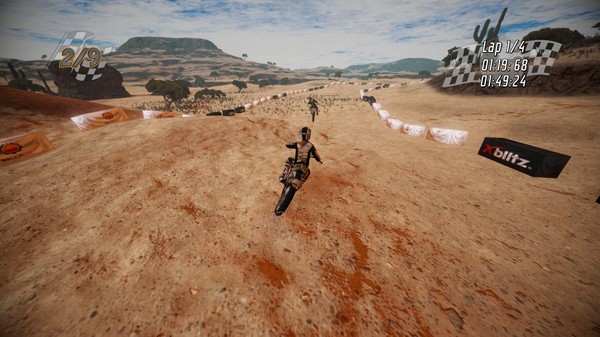 Dirt Bike Insanity screenshot 6