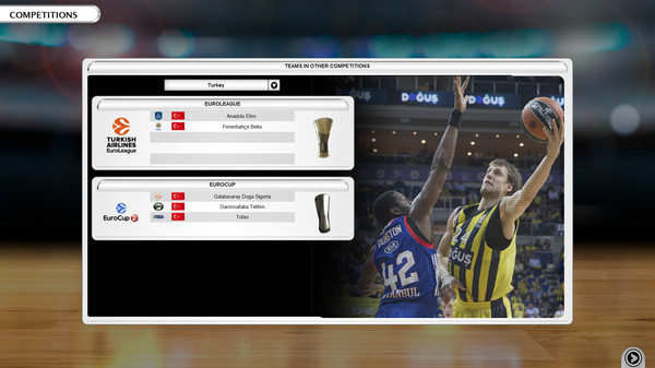International Basketball Manager screenshot 2