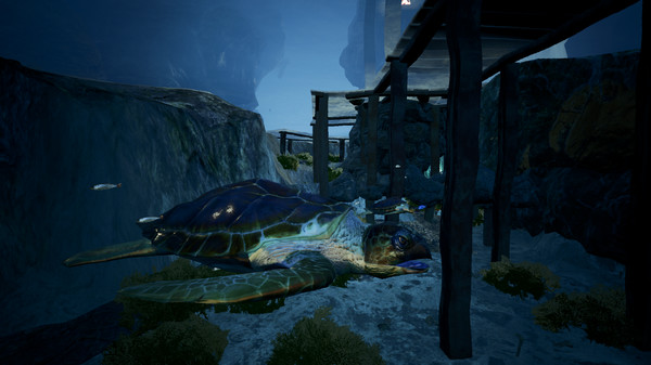 Expedia Cenote VR screenshot 2