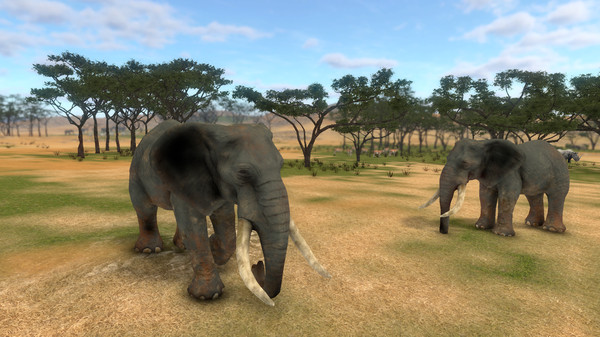 SAVANNA SHOT VR screenshot 2
