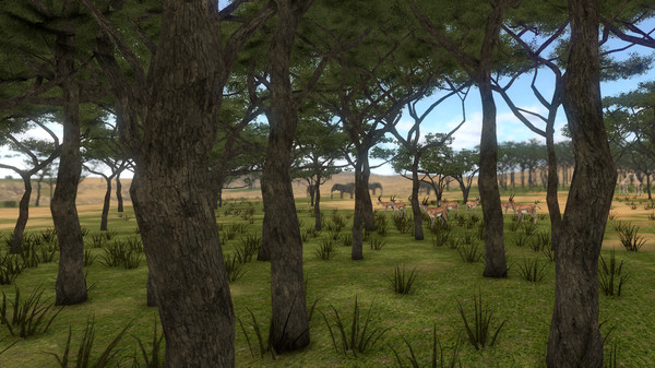 SAVANNA SHOT VR screenshot 3