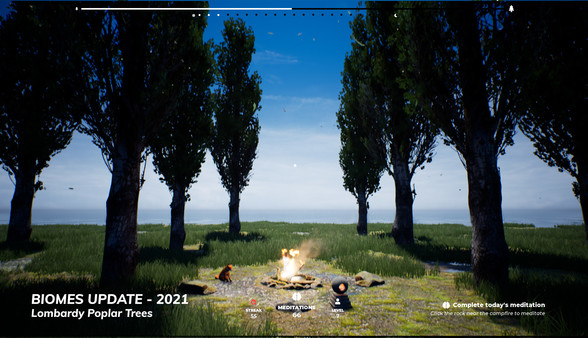 PLAYNE : The Meditation Game screenshot 12