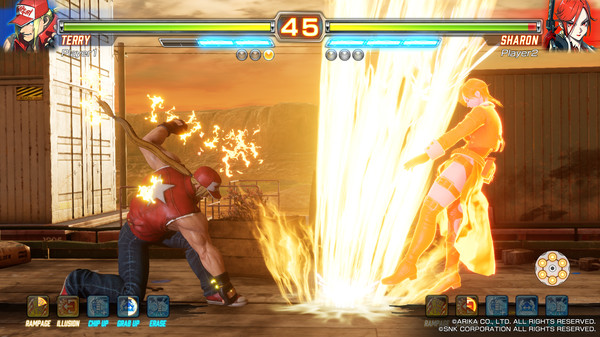 FIGHTING EX LAYER screenshot 6
