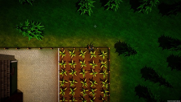 Top Down Survivor screenshot 4