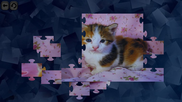 Puzzles for smart: Cats screenshot 4